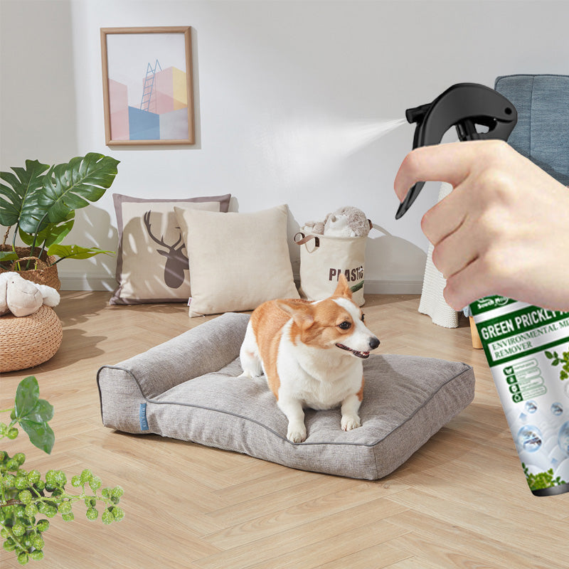 ⚡Wyprzedaż limitowana Kup 2 i otrzymaj 1 gratis⚡-🧑⚕️Silny spray do usuwania roztoczy