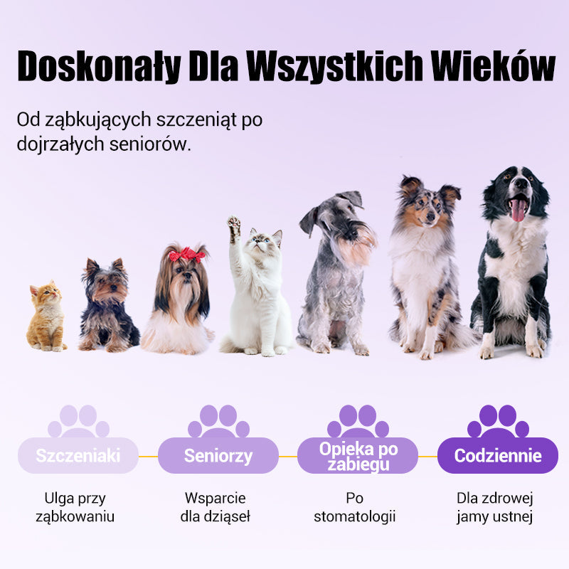 🐕Kup 1, otrzymaj 1 gratis🐱 Żel naprawczy do jamy ustnej dla zwierząt🌈