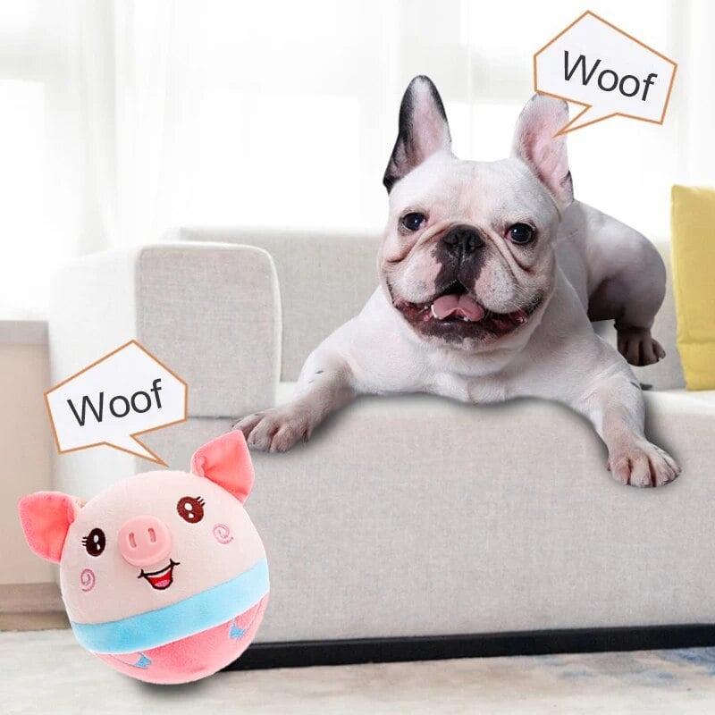 🎁 Aktywne zwierzaki Cuddly Toys