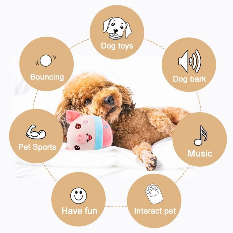 🎁 Aktywne zwierzaki Cuddly Toys