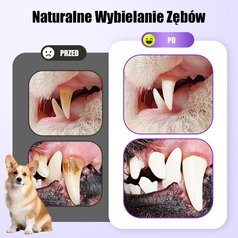 🐕Kup 1, otrzymaj 1 gratis🐱 Żel naprawczy do jamy ustnej dla zwierząt🌈