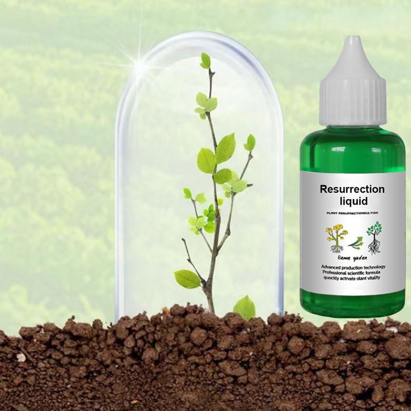 👍[Polecany przez ekspertów od roślin]🌿Płynny roztwór aktywujący rośliny i kwiaty - （Wielka wyprzedaż⛄Kup 3, a otrzymasz 10% zniżki）